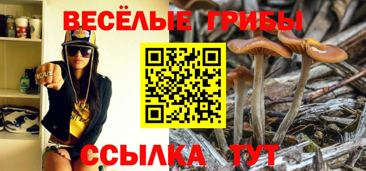 Галлюциногенные грибы прущие грибы Ялуторовск